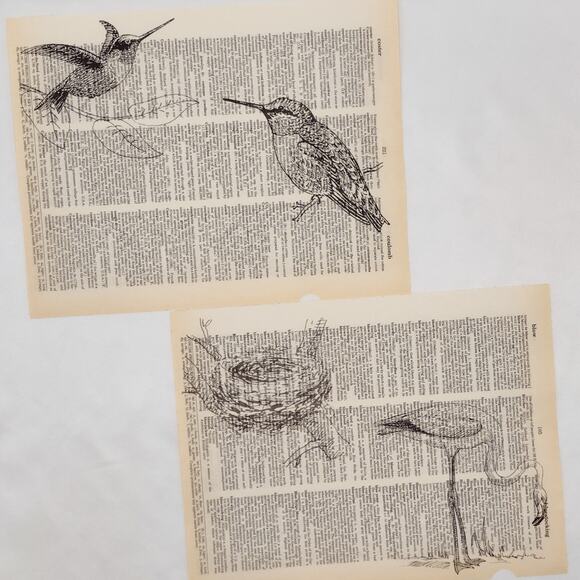 Bird Dictionary Prints 2, Colorful Bird Prints, Book Page Prints - Picture 5 of 6